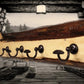 Walker Wood Gifts Rustic Coat Racks Red / Hanging / Entrance Live Edge Red Cedar Coat Rack: Rustic Cabin Decor with 6 Hooks