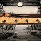 Walker Wood Gifts Rustic Coat Racks Red / Hanging / Entrance Live Edge Red Cedar Coat Rack: Rustic Cabin Decor with 6 Hooks