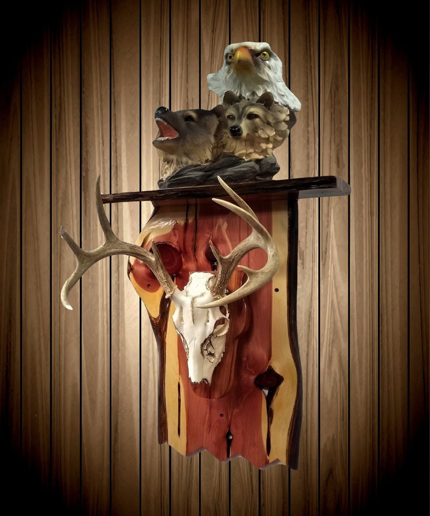walkerwoodgifts Display Shelf with European Deer Skull and Horns
