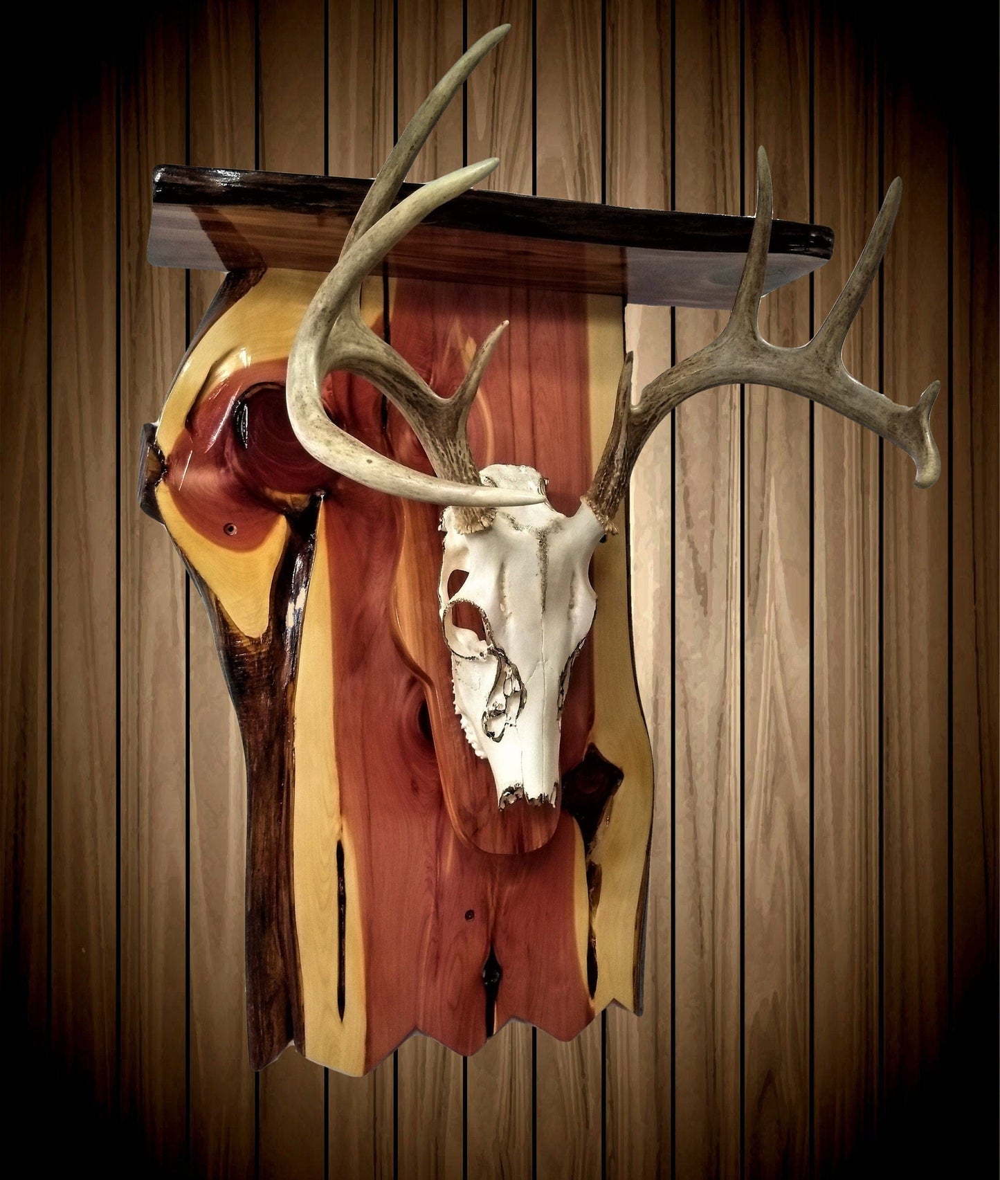 walkerwoodgifts Display Shelf with European Deer Skull and Horns